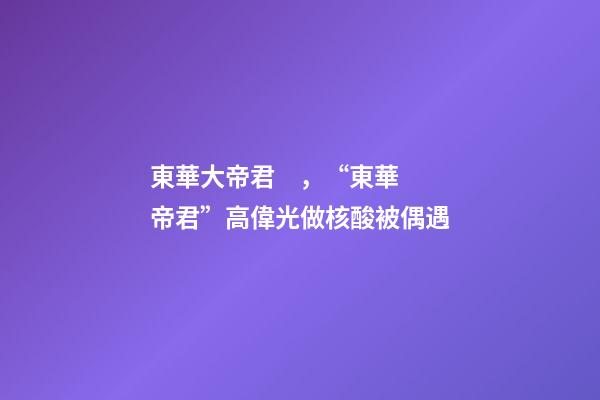 東華大帝君，“東華帝君”高偉光做核酸被偶遇